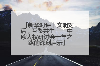 新华时评丨文明对话，互鉴共生——中欧人权研讨会十年之路的深刻启示