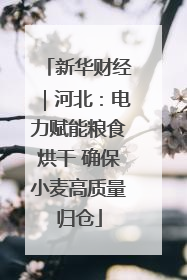 新华财经｜河北：电力赋能粮食烘干 确保小麦高质量归仓