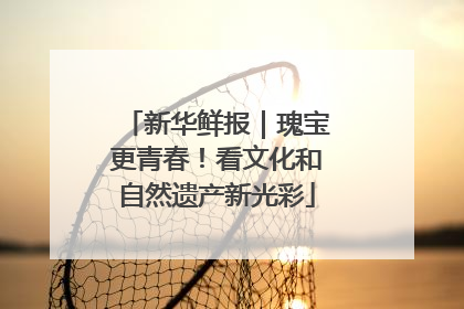 新华鲜报｜瑰宝更青春！看文化和自然遗产新光彩
