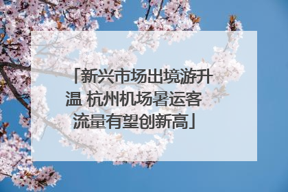 新兴市场出境游升温 杭州机场暑运客流量有望创新高