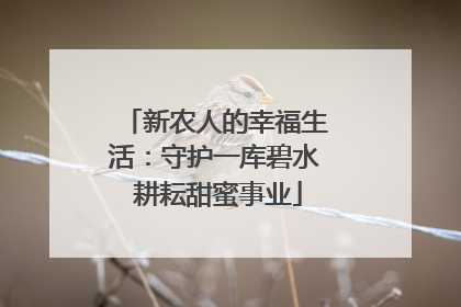 新农人的幸福生活：守护一库碧水 耕耘甜蜜事业