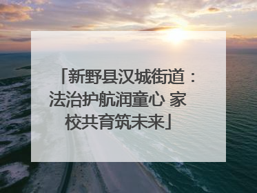 新野县汉城街道:法治护航润童心 家校共育筑未来