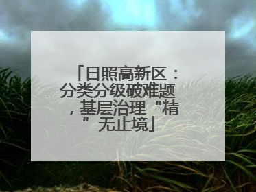 日照高新区：分类分级破难题，基层治理“精”无止境