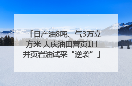 日产油8吨、气3万立方米 大庆油田营页1H井页岩油试采“逆袭”