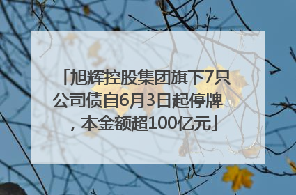 旭辉控股集团旗下7只公司债自6月3日起停牌，本金额超100亿元