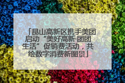 昆山高新区携手美团启动“美好高新·团团生活”促销费活动，共绘数字消费新图景