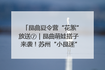昆曲夏令营“花絮”放送⑦｜昆曲萌娃搭子来袭！苏州“小昆迷”姐弟期待同台演绎“姑苏水磨调”