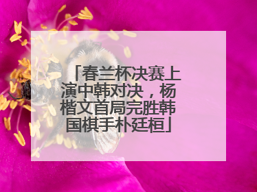 春兰杯决赛上演中韩对决，杨楷文首局完胜韩国棋手朴廷桓