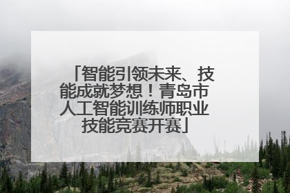 智能引领未来、技能成就梦想！青岛市人工智能训练师职业技能竞赛开赛