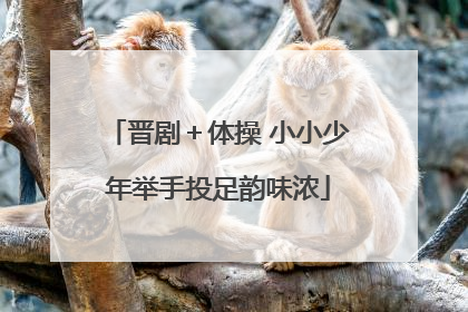 晋剧＋体操 小小少年举手投足韵味浓
