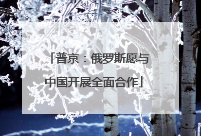 普京：俄罗斯愿与中国开展全面合作