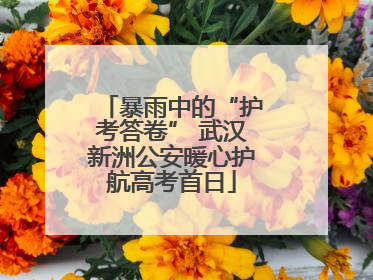 暴雨中的“护考答卷” 武汉新洲公安暖心护航高考首日