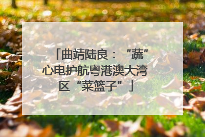 曲靖陆良：“蔬”心电护航粤港澳大湾区“菜篮子”