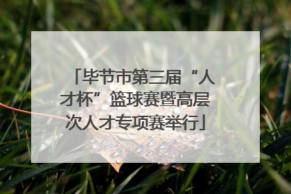 毕节市第三届“人才杯”篮球赛暨高层次人才专项赛举行
