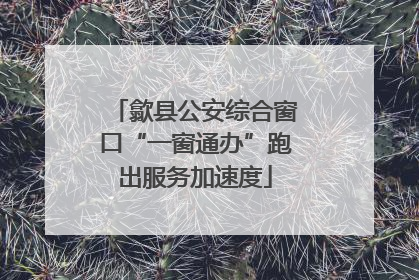 歙县公安综合窗口“一窗通办”跑出服务加速度