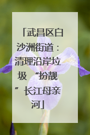 武昌区白沙洲街道：清理沿岸垃圾 “扮靓”长江母亲河