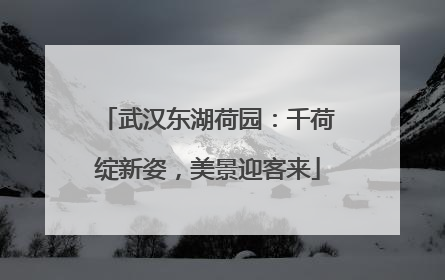 武汉东湖荷园：千荷绽新姿，美景迎客来