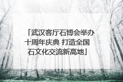 武汉客厅石博会举办十周年庆典 打造全国石文化交流新高地