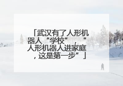 武汉有了人形机器人“学校”，“人形机器人进家庭，这是第一步”