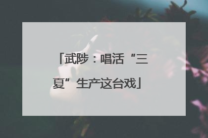 武陟：唱活“三夏”生产这台戏
