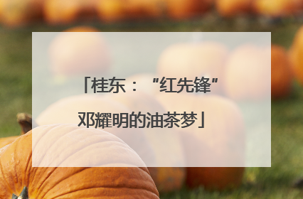 桂东：“红先锋”邓耀明的油茶梦