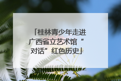 桂林青少年走进广西省立艺术馆“对话”红色历史