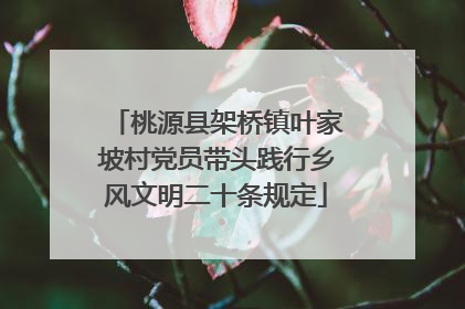 桃源县架桥镇叶家坡村党员带头践行乡风文明二十条规定