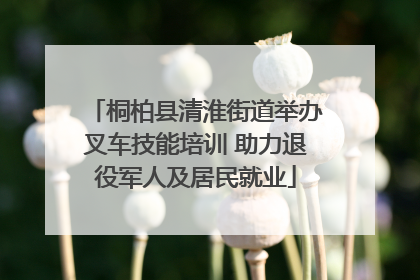 桐柏县清淮街道举办叉车技能培训 助力退役军人及居民就业