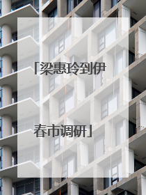 梁惠玲到伊春市调研