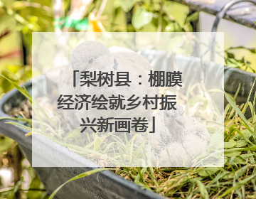 梨树县：棚膜经济绘就乡村振兴新画卷