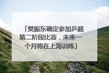 樊振东确定参加乒超第二阶段比赛，未来一个月将在上海训练