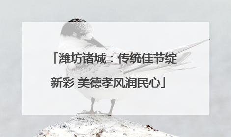 潍坊诸城：传统佳节绽新彩 美德孝风润民心