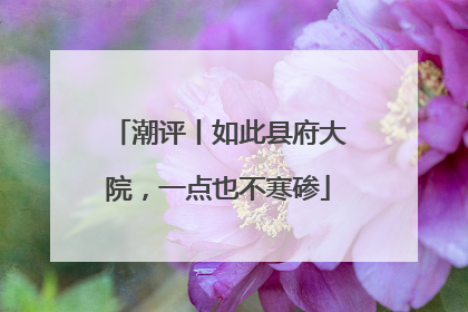 潮评丨如此县府大院，一点也不寒碜