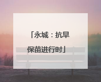永城：抗旱保苗进行时