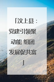 汶上县：党建引领聚动能 组团发展促共富