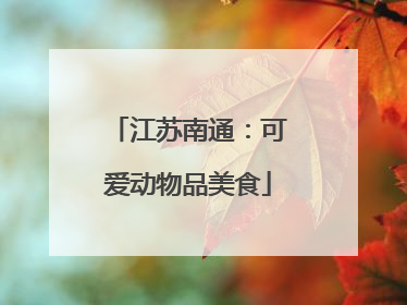江苏南通：可爱动物品美食
