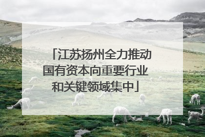 江苏扬州全力推动国有资本向重要行业和关键领域集中