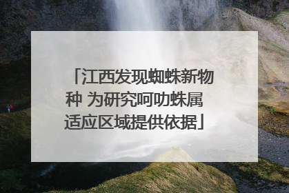 江西发现蜘蛛新物种 为研究呵叻蛛属适应区域提供依据