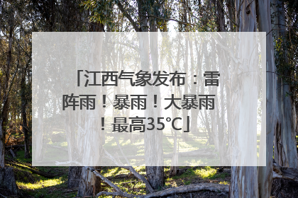 江西气象发布：雷阵雨！暴雨！大暴雨！最高35℃