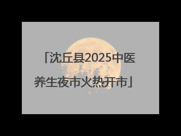 沈丘县2025中医养生夜市火热开市
