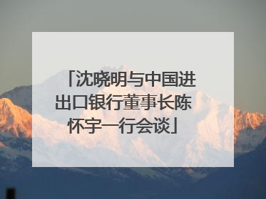 沈晓明与中国进出口银行董事长陈怀宇一行会谈