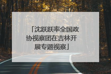 沈跃跃率全国政协视察团在吉林开展专题视察