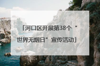 河口区开展第38个“世界无烟日”宣传活动