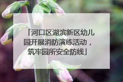 河口区湖滨新区幼儿园开展消防演练活动，筑牢园所安全防线
