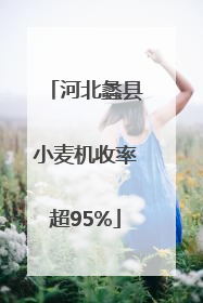 河北蠡县小麦机收率超95%