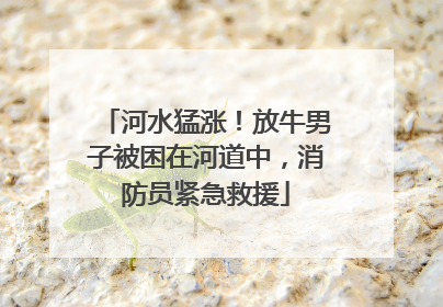 河水猛涨！放牛男子被困在河道中，消防员紧急救援