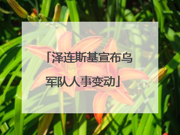 泽连斯基宣布乌军队人事变动