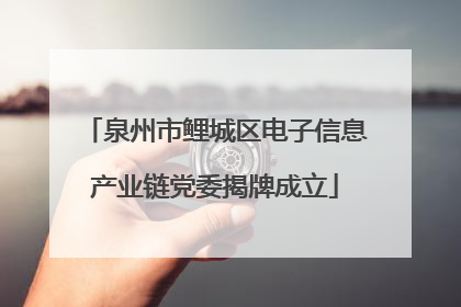 泉州市鲤城区电子信息产业链党委揭牌成立