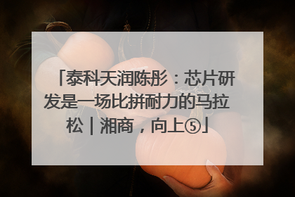 泰科天润陈彤：芯片研发是一场比拼耐力的马拉松｜湘商，向上⑤