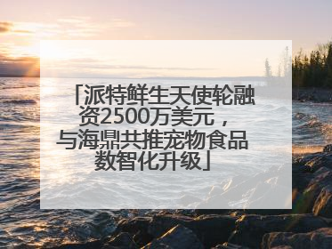 派特鲜生天使轮融资2500万美元，与海鼎共推宠物食品数智化升级
